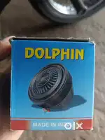 Dolphin  Horn
