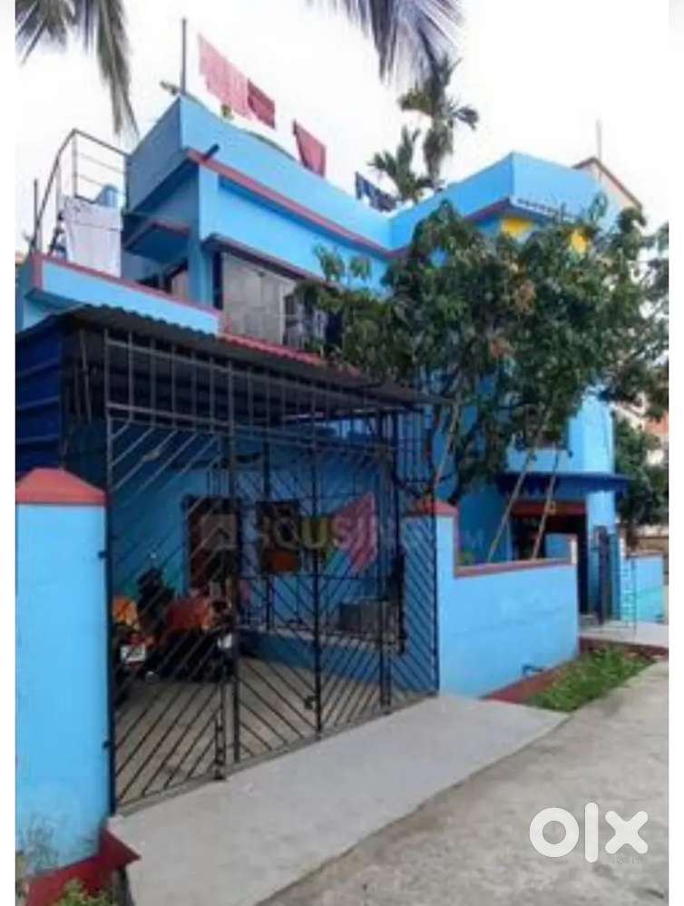 Wanderful House