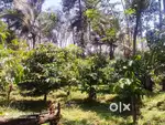 Level 25.5 Cent Land in Kenichira Wayanad