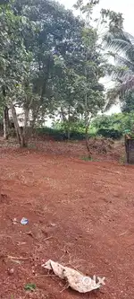 Kakkanad vikazavani