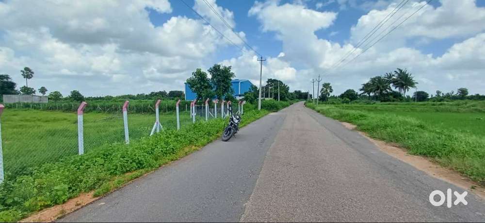 Double Dambar Road BIT,Old Record Available,11 Guntas land for sale