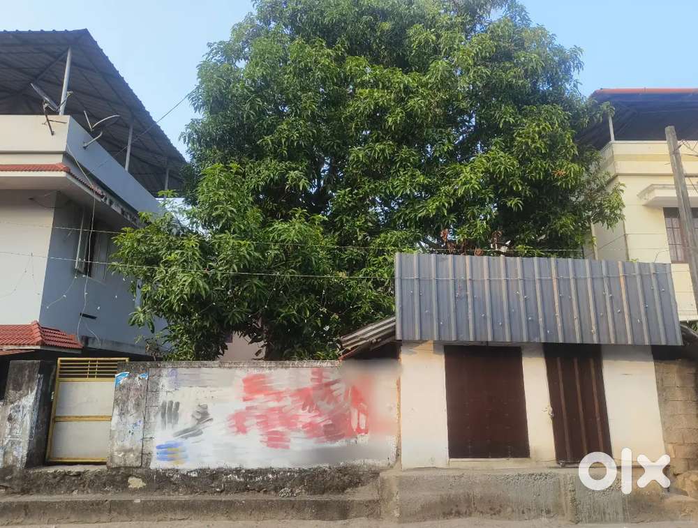 4.5 CENT ROAD SIDE PLOT FOR SALE AT INDIRA NAGAR PEROORKADA