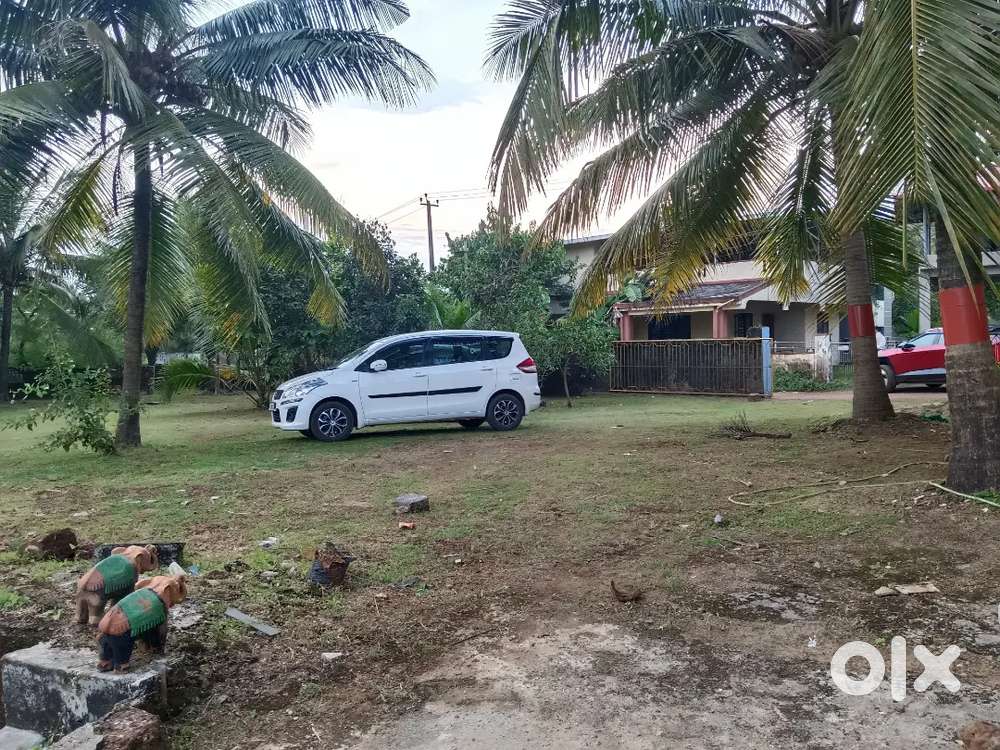 31 cents beautiful garden land in kumpala thokottu mangaluru karnataka