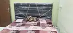 Brand New Double Bed