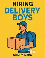 Delivery Boy