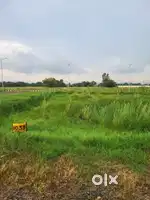 231gaj plot for sale in zirakpur