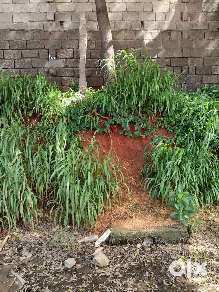1.5 acre for company purpose