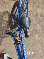 Woodland bicycle tubeless