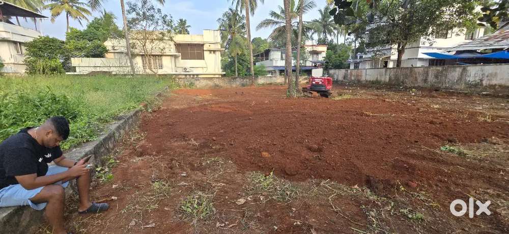 Aranattukara 15 cent plot