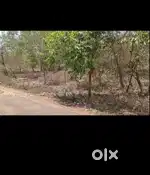 Kayaralam, mayyil