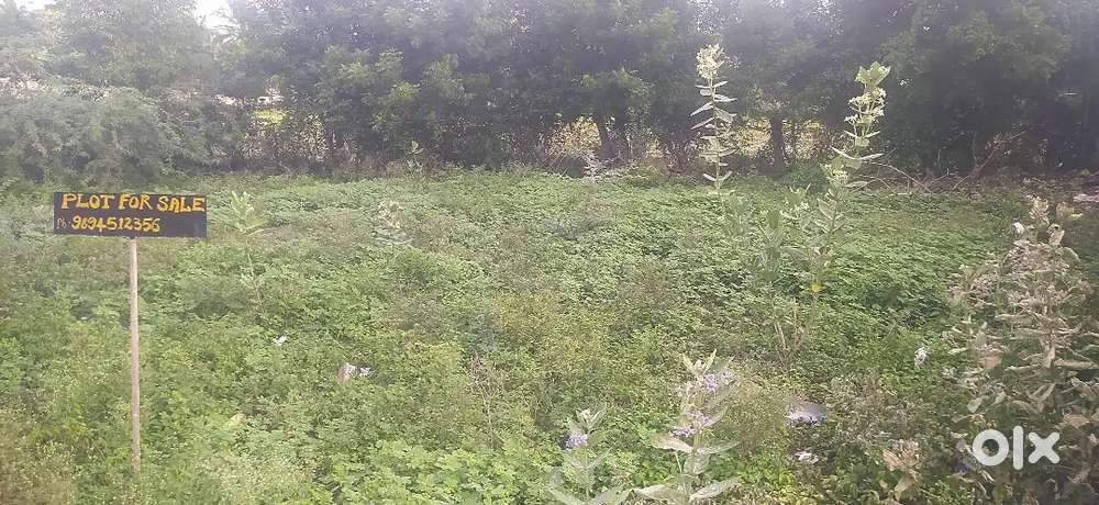 Near ponmalaipatti area.