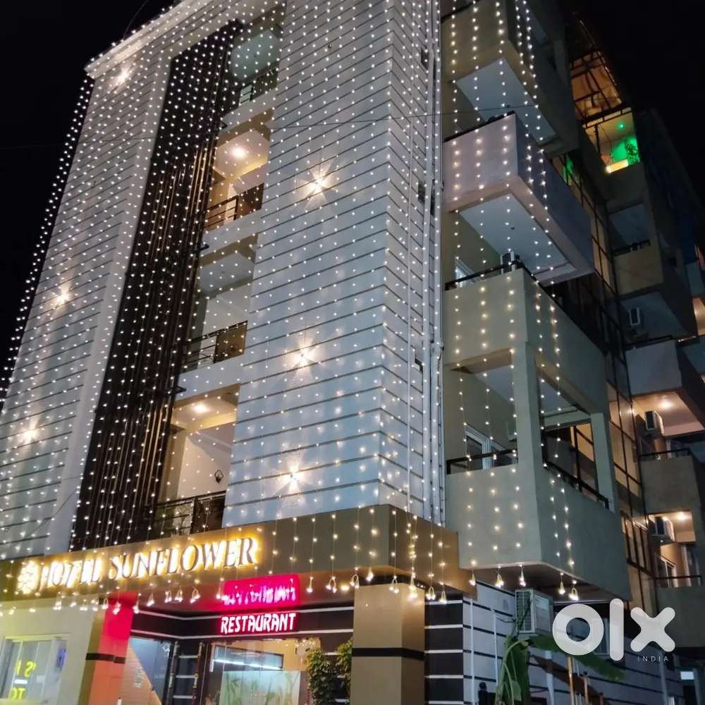 Chief hotel sunflower