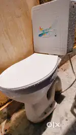Commod (toilet seat )