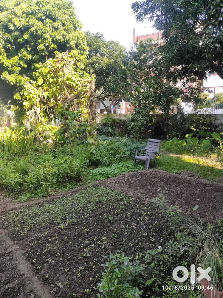 64 SQ YARD PLOT @ INDRA NAGAR