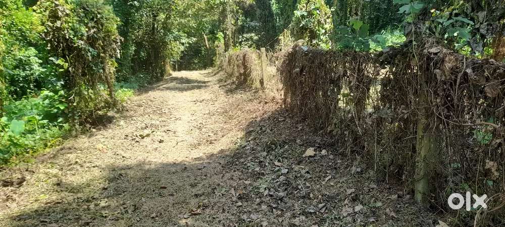 Resorts land or farm lamd