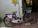 Ladybird Cycle