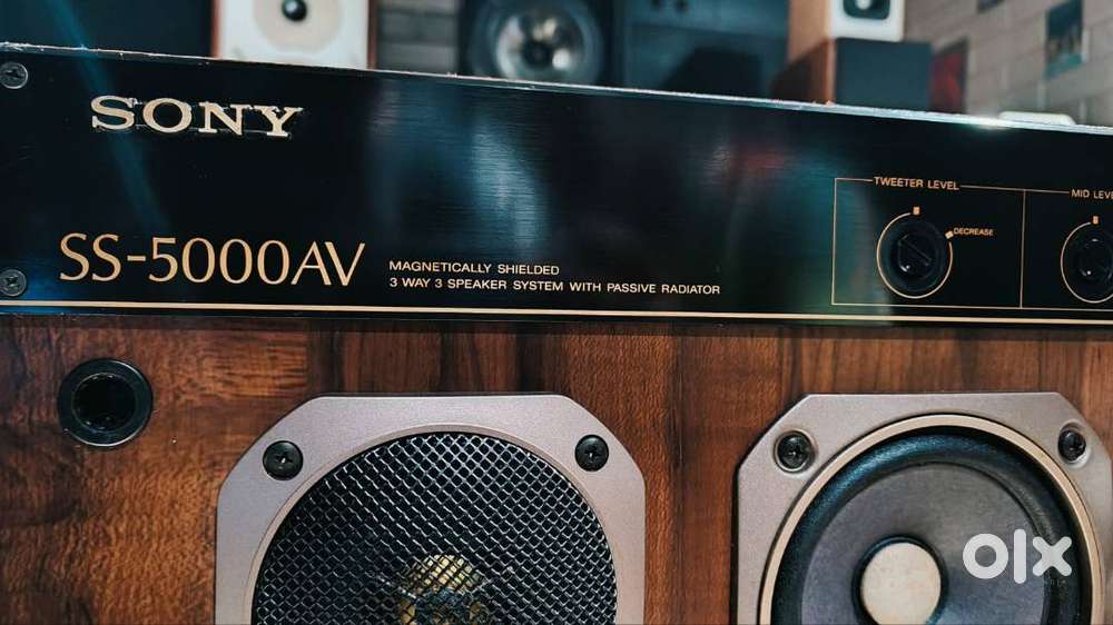 Sony SS-5000AV 4-Way Speaker Pair