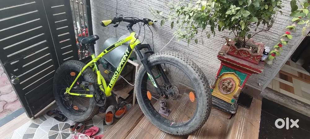 Hero Big Daddy Fat Tyre cycle