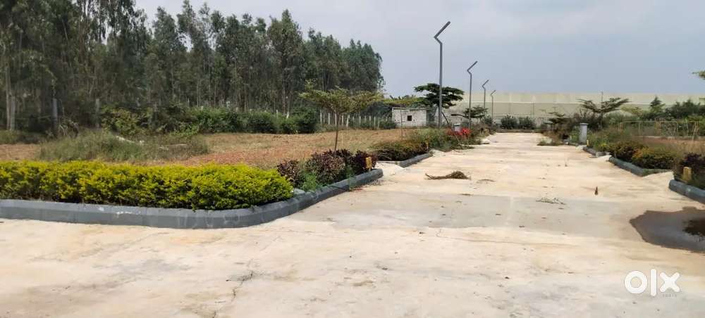 Bhavathi silver woods