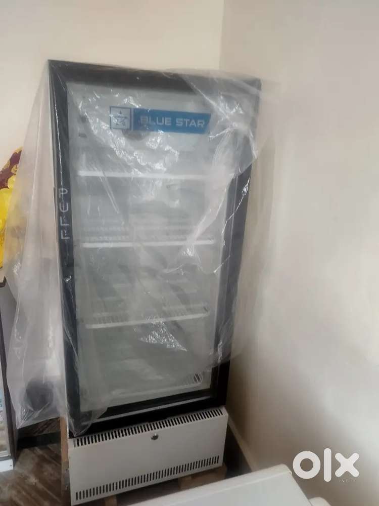 Blue star deep freezer