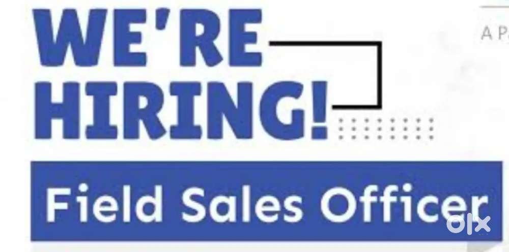 Field sales executive