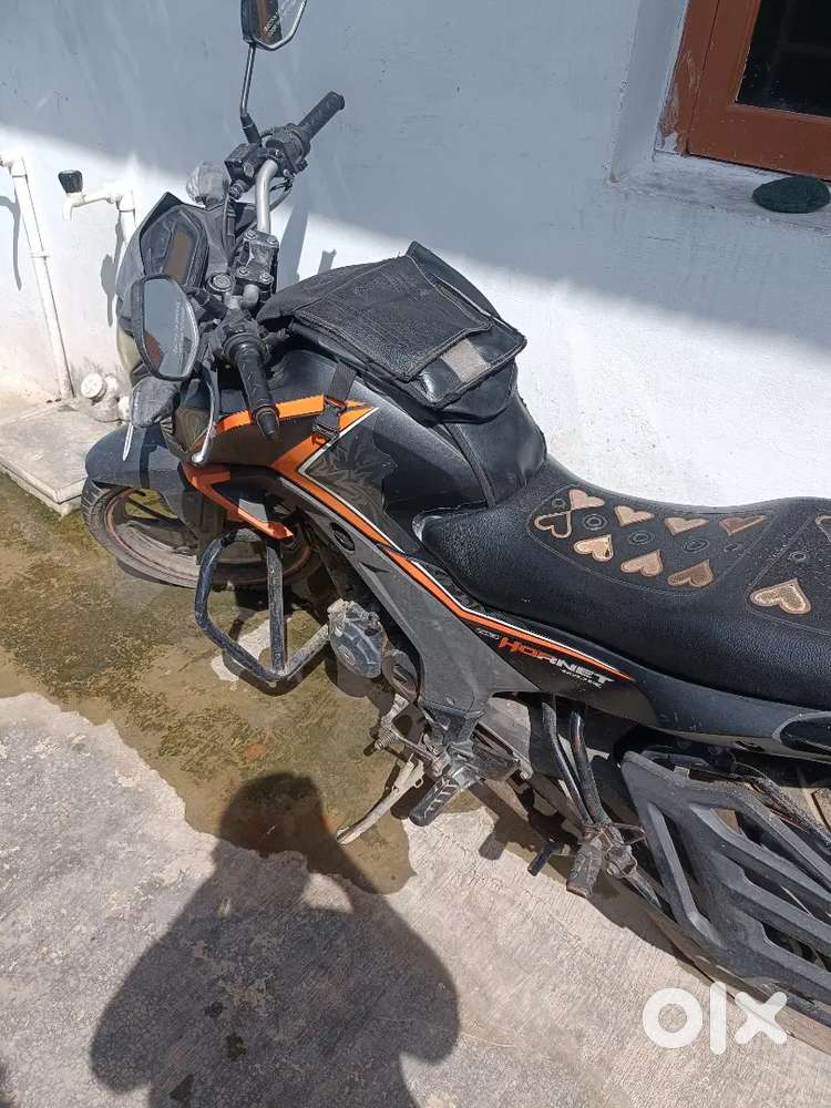Honda hornet