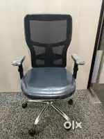 Ergoline chairs available in low price