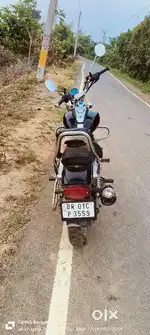 Full candisan hai