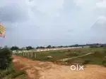 Five hundred Metres from CBSE school