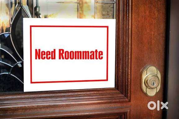 Female roommate required