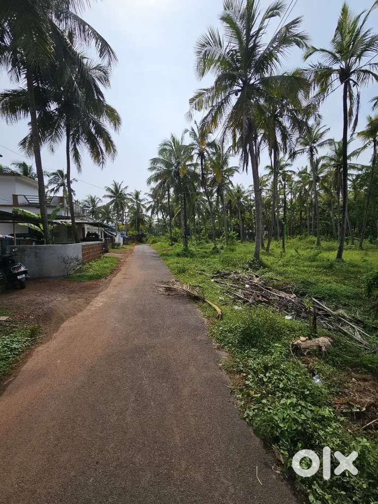 47 cent investment property Ambalapuram Cherukunnu