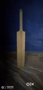 I am selling my new model big cricket bat for a cricketer