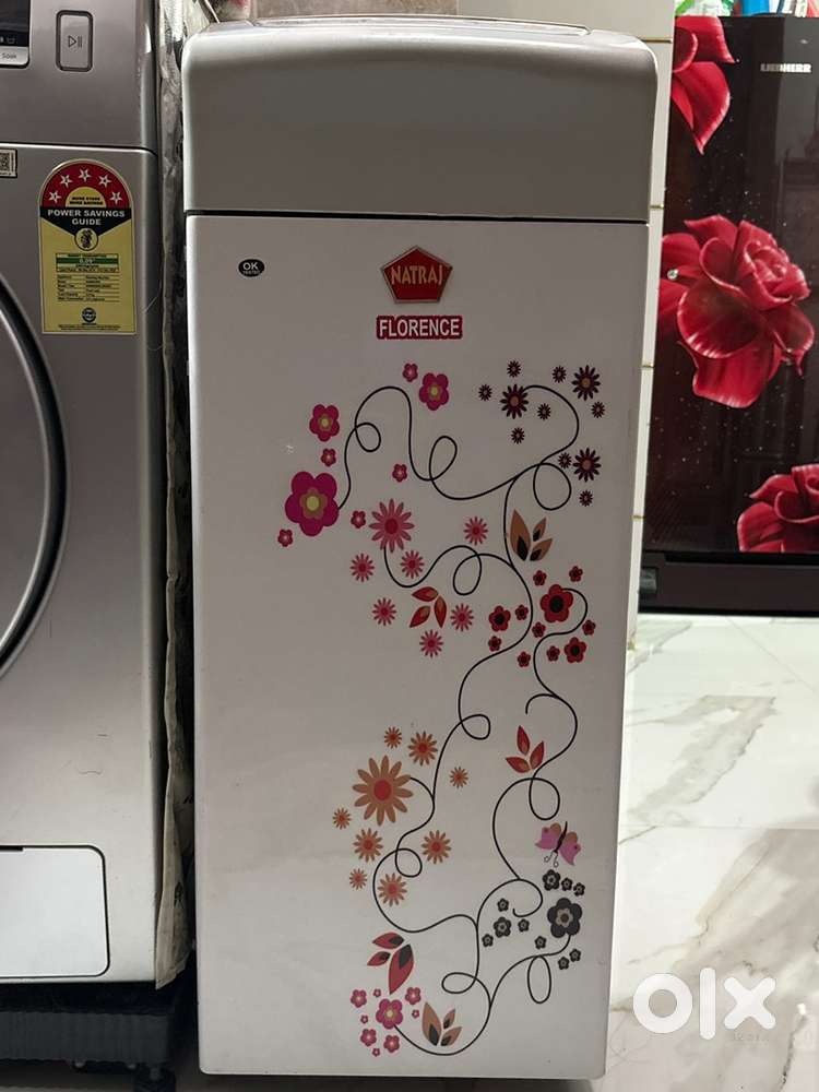 Natraj Florence (Floor Mill)