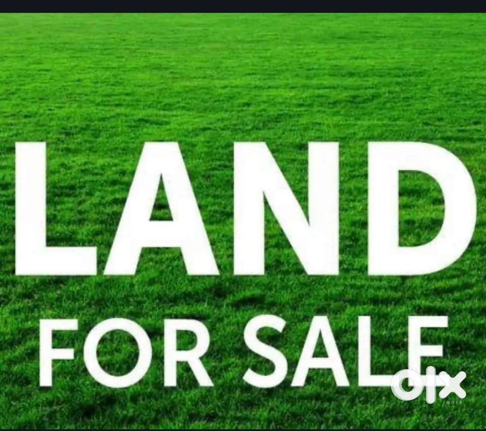 12.5 lessa for sale 63.0000