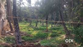 10cence land for sale per cence 4.25 lacks