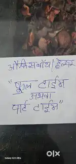 औफिस  बाय/हेल्पर ,फुल टाईम  या पार्ट  टाईम