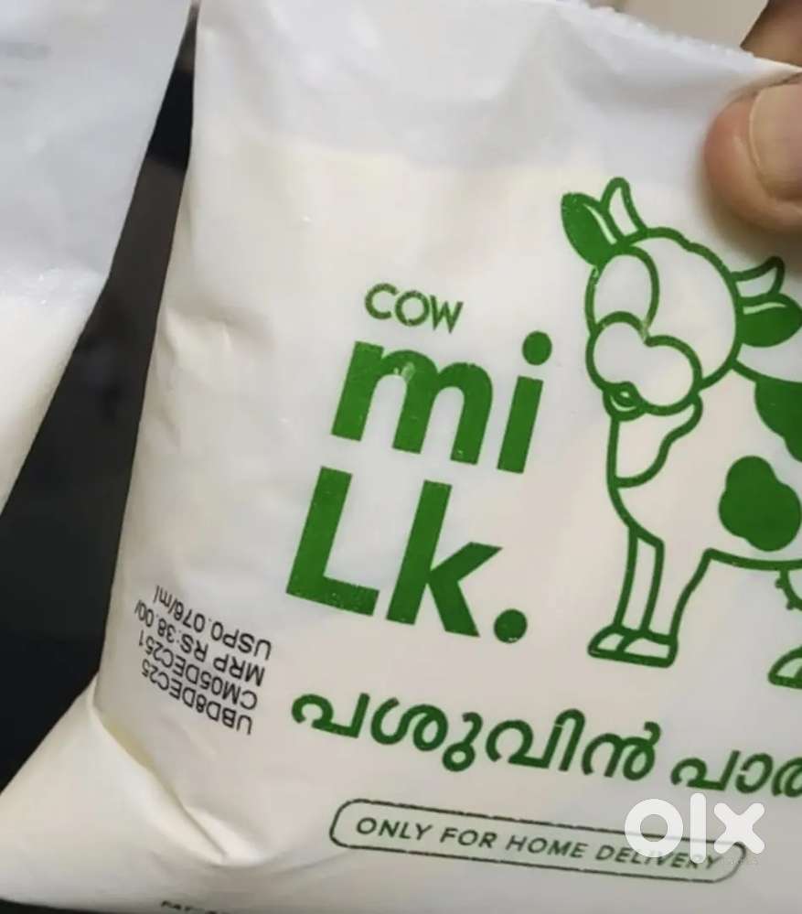 Delivery job morning 2 hour daily