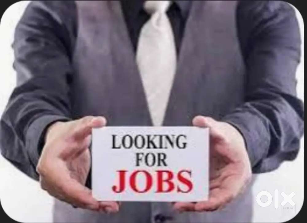 Candidate required for data entry work from home