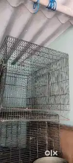 Birds cages kg