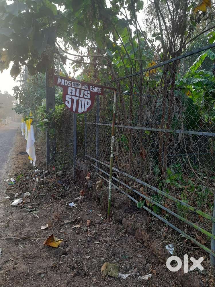 98 Cents prime plot at Thrikkudithanam, Changanassery