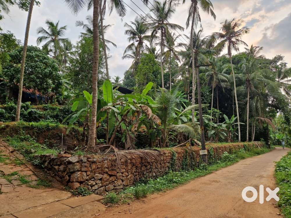 A suitable plot of land for building  houses.