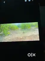 8,50,000 Takai 114 Dec Rayat jaiga bikri ache