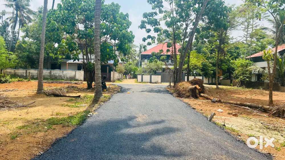Plot for sale  thrissur
