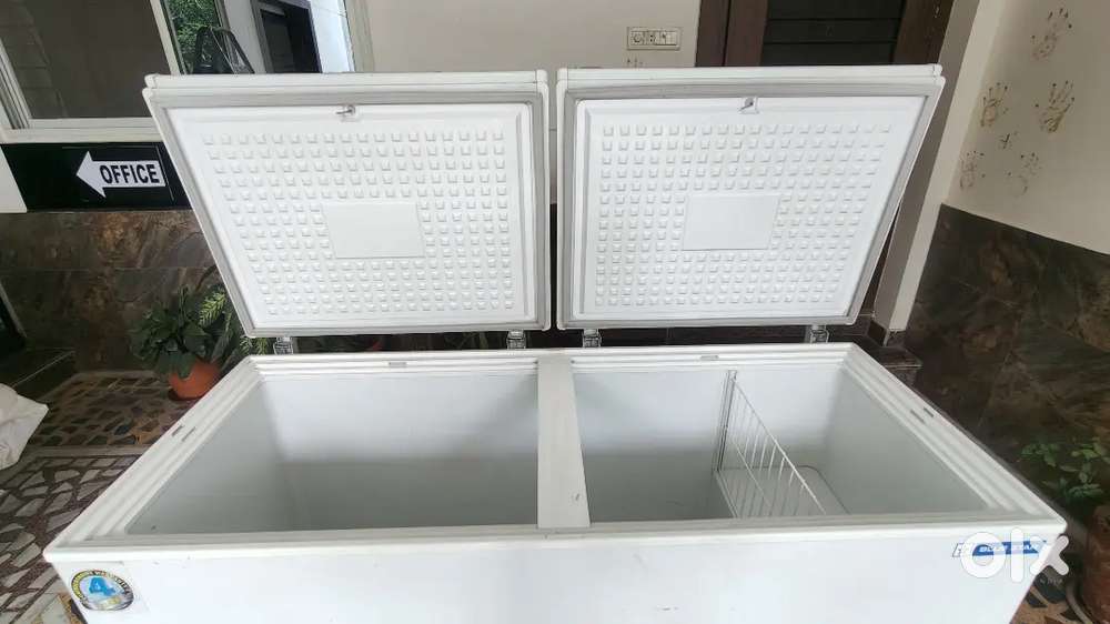 Blue Star Deep Freezer