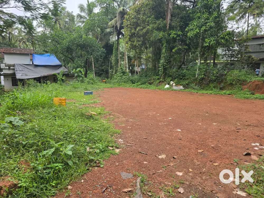 38 cent area,square plot single owner