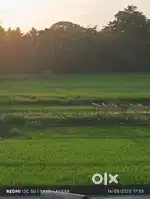 Land for sale near AIIMS