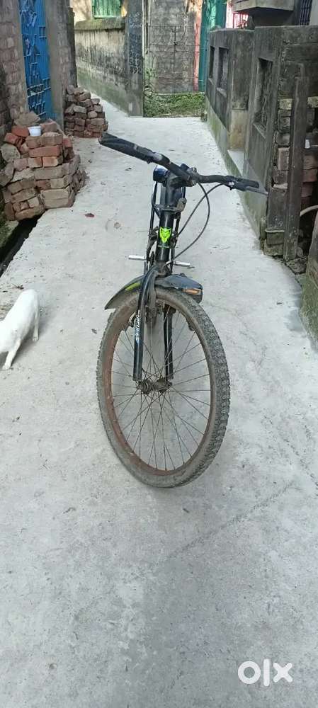 Ranger cycle