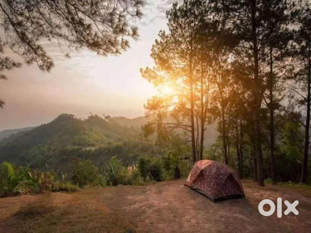 Guest Experience & Property Manager