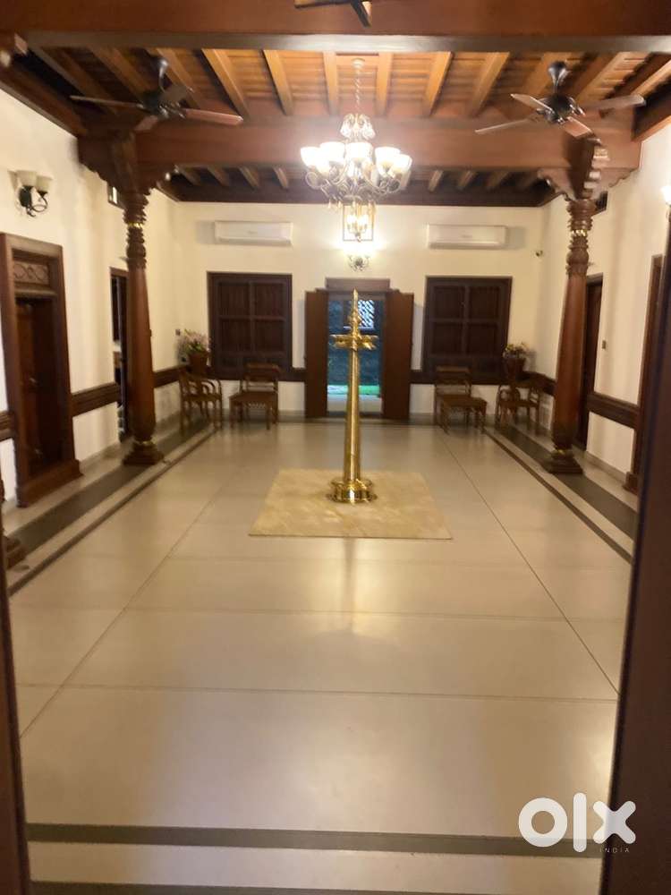 Sales executive and collection executive