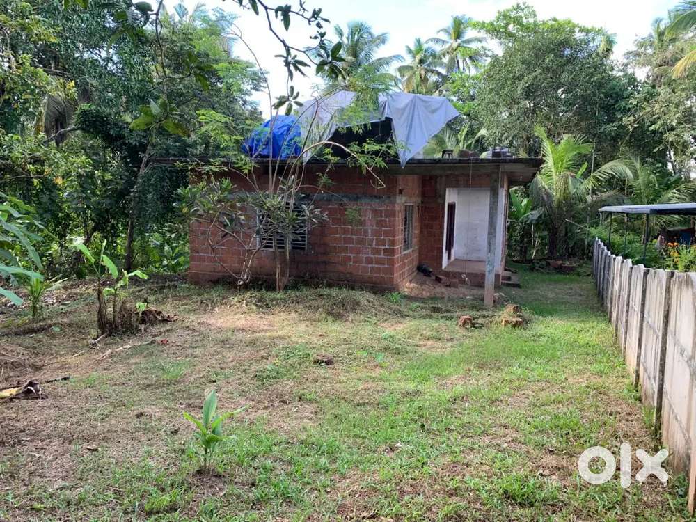 11 സെൻ്റ് സ്ഥലവും വീടും വിൽപനൽക്ക് കണ്ണൂർ മതുക്കോത്ത്